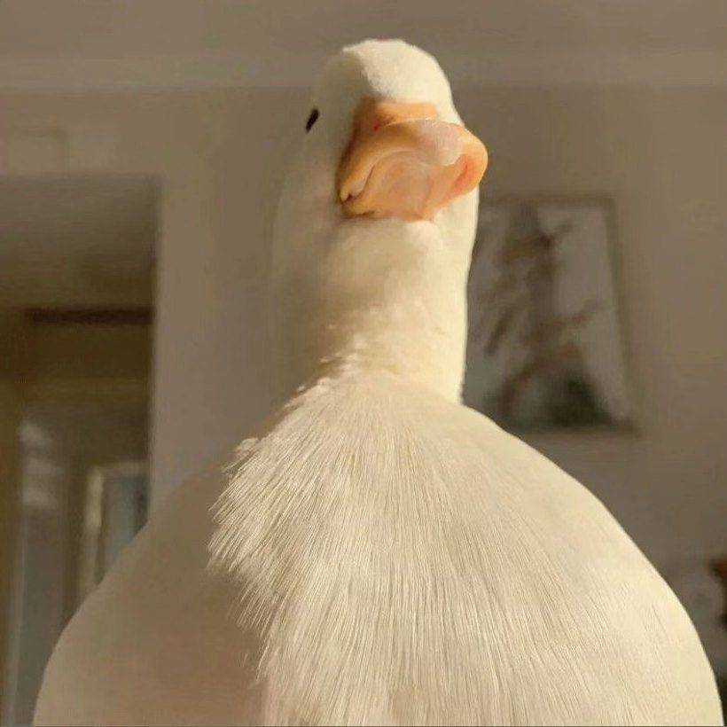 氟化钾的安全使用指南